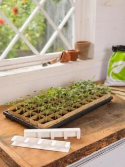 Paper Pots Starter Set -Cheap A Fresh Yard Store 8600273 0303 tif