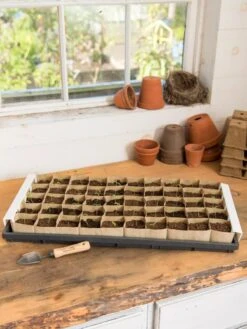 Paper Pots Starter Set -Cheap A Fresh Yard Store 8600273 18521 tif