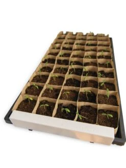 Paper Pots Starter Set -Cheap A Fresh Yard Store 8600273 18527 tif