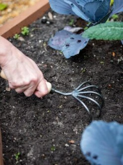 Gardener’s Lifetime 5-Tine Cultivator With Short Handle -Cheap A Fresh Yard Store 8600305 2974