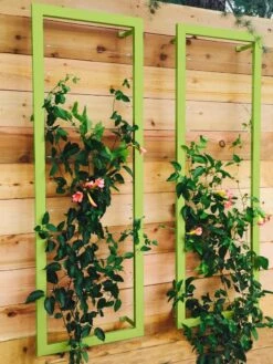 Ina Modern Wall Trellis Sr. -Cheap A Fresh Yard Store 8600510 01V tif