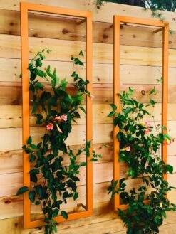 Ina Modern Wall Trellis Sr. -Cheap A Fresh Yard Store 8600510 04V tif
