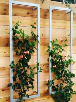 Ina Modern Wall Trellis Sr. -Cheap A Fresh Yard Store 8600510 06V tif