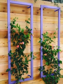 Ina Modern Wall Trellis Sr. -Cheap A Fresh Yard Store 8600510 07V tif
