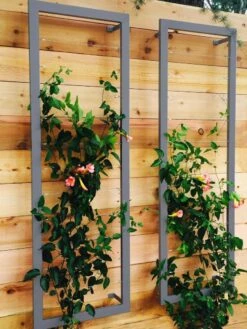 Ina Modern Wall Trellis Sr. -Cheap A Fresh Yard Store 8600510 08V jpg