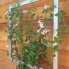 Ina Modern Wall Trellis Jr. -Cheap A Fresh Yard Store 8600512 07V tif