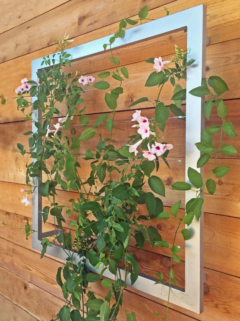 Ina Modern Wall Trellis Jr. 3 Ina Modern Wall Trellis Jr.