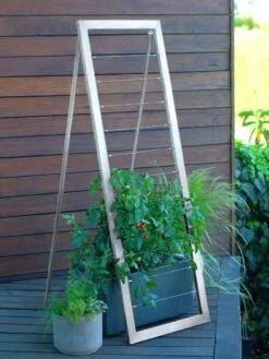 Mira Modern Garden Trellis Sr. -Cheap A Fresh Yard Store 8600513 08v