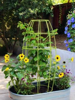 Toki Bubble Trellis 10 Toki Bubble Trellis -Cheap A Fresh Yard Store 8600520 04V tif