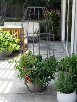 Toki Bubble Trellis 11 Toki Bubble Trellis -Cheap A Fresh Yard Store 8600520 07V jpg