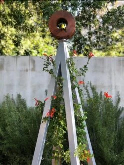 Bird Cafe + Akoris Garden Tuteur Sr. -Cheap A Fresh Yard Store 8600525 07v