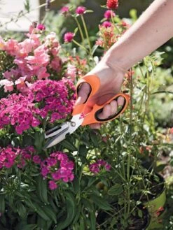 Gardener's Multi Purpose Scissors -Cheap A Fresh Yard Store 8608655 19551 tif