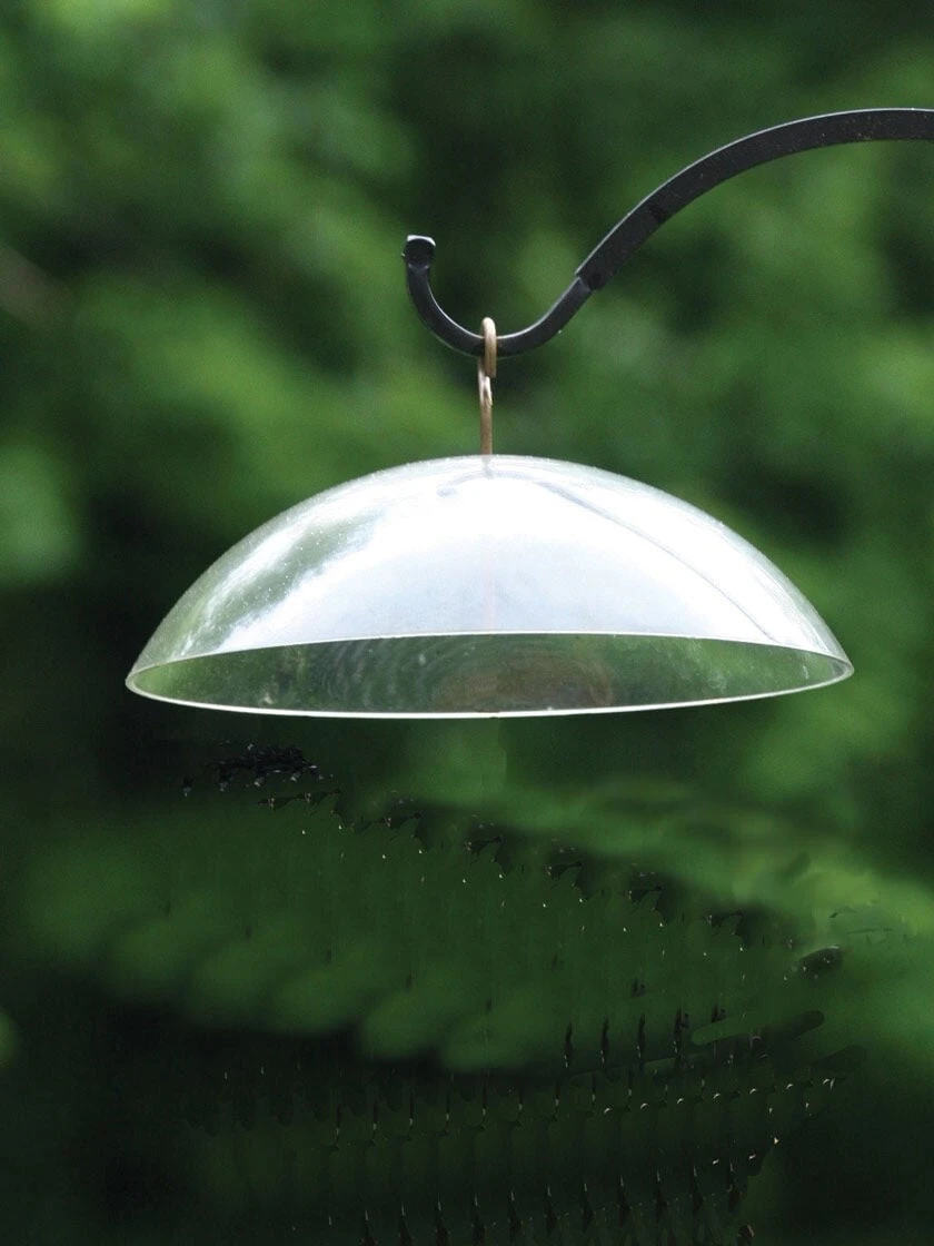 Birds Choice Hanging Dome With Brass Hanger 3 Birds Choice Hanging Dome With Brass Hanger