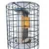 Birds Choice Double Cake Suet Feeder With Cage