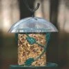 Birds Choice Hanging Seed Cylinder Bird Feeder 2 Birds Choice Hanging Seed Cylinder Bird Feeder -Cheap A Fresh Yard Store 8608763 01v birds choice hanging seed cylinder bird feeder