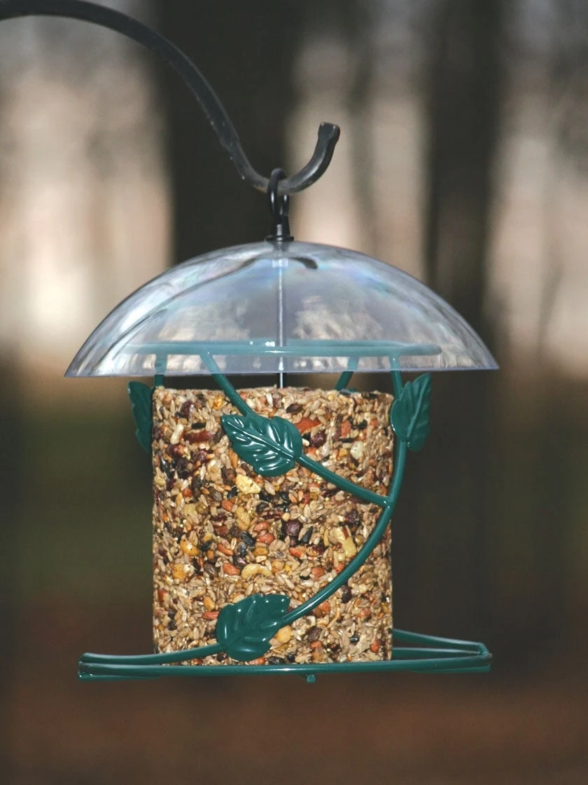 Birds Choice Hanging Seed Cylinder Bird Feeder 3 Birds Choice Hanging Seed Cylinder Bird Feeder