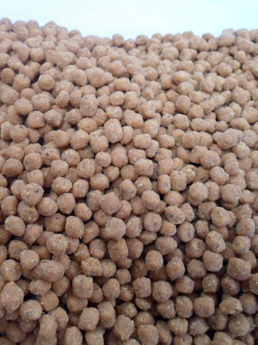 Birds Choice Hot Pepper Suet Nuggets, 5 Lbs. 3 Birds Choice Hot Pepper Suet Nuggets, 5 Lbs.