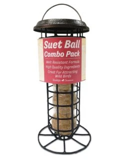 Suet Ball & Feeder Combo Set -Cheap A Fresh Yard Store 8608919 01v