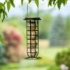Suet Ball & Feeder Combo Set -Cheap A Fresh Yard Store 8608919 0570 suet ball and feeder combo pack