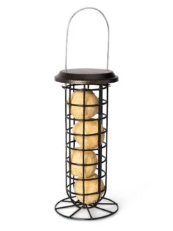 Suet Ball & Feeder Combo Set -Cheap A Fresh Yard Store 8608919 4427