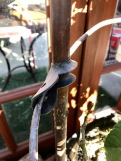 Garden Cane Connects, Set Of 6 -Cheap A Fresh Yard Store 8609019 03V tif