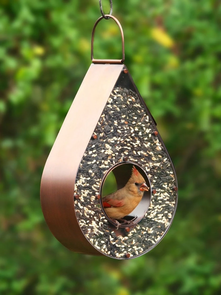 Teardrop Fly-Thru™ Bird Feeder 3 Teardrop Fly-Thru™ Bird Feeder