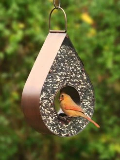 Teardrop Fly-Thru™ Bird Feeder 9 Teardrop Fly-Thru™ Bird Feeder -Cheap A Fresh Yard Store 8609054 02v