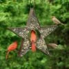 Star Fly-Thru™ Bird Feeder 2 Star Fly-Thru™ Bird Feeder -Cheap A Fresh Yard Store 8609057 04v star fly thru bird feeder good directions