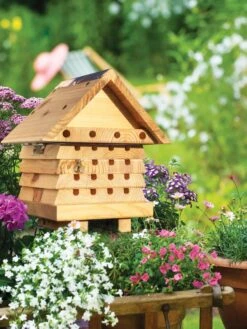 Solitary Bee Hive 16 Solitary Bee Hive -Cheap A Fresh Yard Store 8609060 02V tif