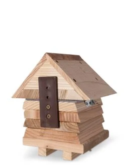 Solitary Bee Hive 17 Solitary Bee Hive -Cheap A Fresh Yard Store 8609060 4479 tif