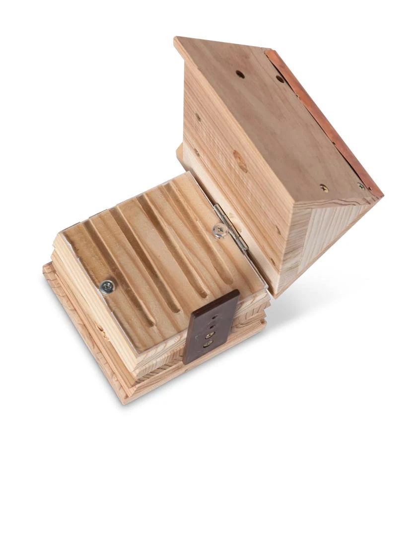 Solitary Bee Hive 7 Solitary Bee Hive - Image 5