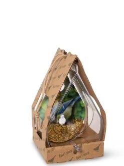 Dewdrop Window Bird Feeder 9 Dewdrop Window Bird Feeder -Cheap A Fresh Yard Store 8609061 4444 tif