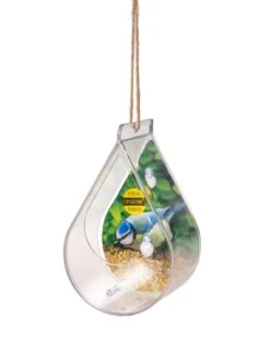 Dewdrop Window Bird Feeder 8 Dewdrop Window Bird Feeder -Cheap A Fresh Yard Store 8609061 4447 tif