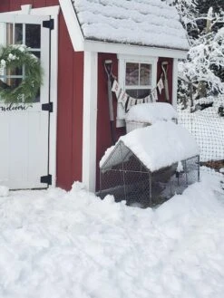 Chicken Wire Crop Coop -Cheap A Fresh Yard Store 8609080 03IN tif