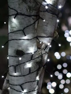 Solar LED String Lights, Lightup125™ -Cheap A Fresh Yard Store 8609126 02V tif