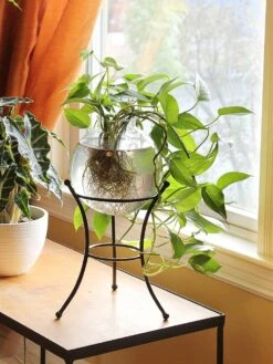 Achla Designs Multi Use Stand 11 Achla Designs Multi Use Stand -Cheap A Fresh Yard Store 8609343 01v achla designs multi use stand