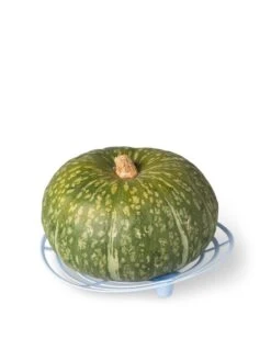 Melon And Squash Cradles, Set Of 6 -Cheap A Fresh Yard Store 8609464 5204 tif