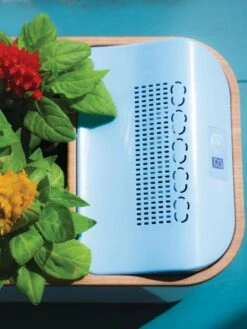 Dewplanter -Cheap A Fresh Yard Store 8609512 Dewplanter