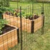 6 Panel Critter Fence With Gate -Cheap A Fresh Yard Store 8609844 8458 6 panel critter fence with gate 3 4