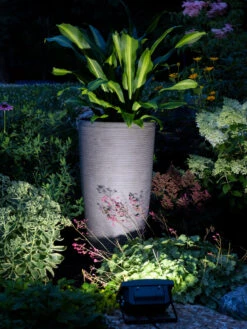 Cheap A Fresh Yard Store -Cheap A Fresh Yard Store 8609885 0017 solar powered led flood light