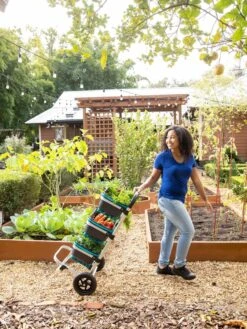 Mod Hod Trolley With Teal Mod Hods -Cheap A Fresh Yard Store 8610240 0070 tif