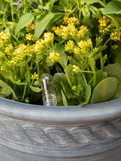 Adjustable Self-Watering Insert For Pots And Planters -Cheap A Fresh Yard Store 8610250 0010 tif