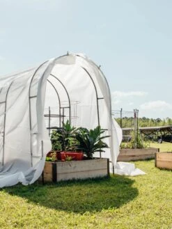 Maxi Garden Quilt -Cheap A Fresh Yard Store 8610373 373 tif