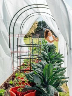 Maxi Garden Hoops With Clips 13 Maxi Garden Hoops With Clips -Cheap A Fresh Yard Store 8610373 377 tif