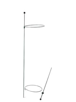 Peacock Mini Plant Support Rings 8", Set Of 2 15 Peacock Mini Plant Support Rings 8", Set Of 2 -Cheap A Fresh Yard Store 8610388 9565 tif