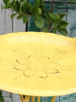 Vintage Floral Birdbath -Cheap A Fresh Yard Store 8610559 02V JPG
