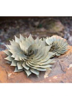 Desert Steel Spiral Aloe Sculpture 13 Desert Steel Spiral Aloe Sculpture -Cheap A Fresh Yard Store 8610749 03v
