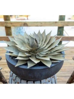 Desert Steel Spiral Aloe Sculpture 16 Desert Steel Spiral Aloe Sculpture -Cheap A Fresh Yard Store 8610750 02v