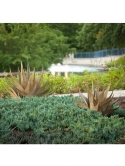 Desert Steel Sharkskin Agave Sculpture -Cheap A Fresh Yard Store 8610753 05v