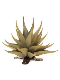 Desert Steel Sharkskin Agave Sculpture -Cheap A Fresh Yard Store 8610754 01v desert steel sharkskin agave small
